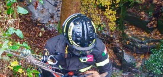 WhatsApp Image 2025-11-15 at 11.20.09