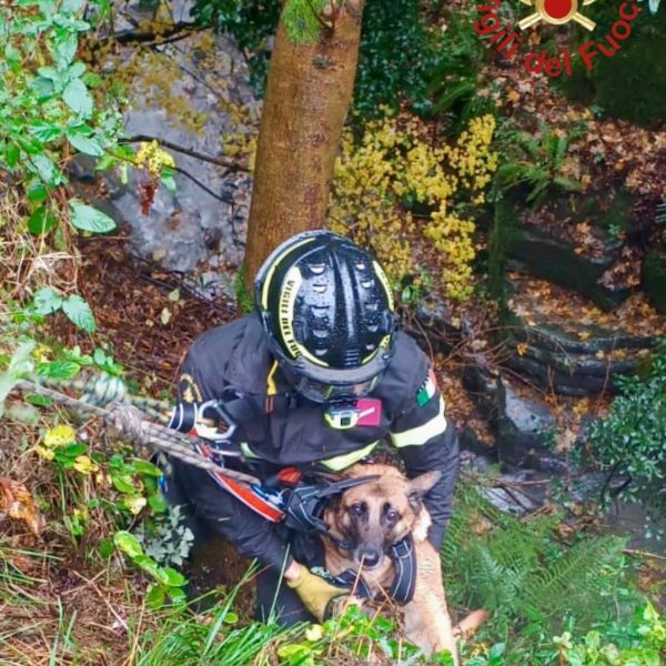 WhatsApp Image 2025-11-15 at 11.20.09