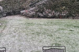 WhatsApp Image 2025-11-21 at 09.05.21