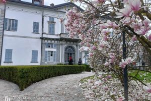 Villa Raimondi - Fino Mornasco