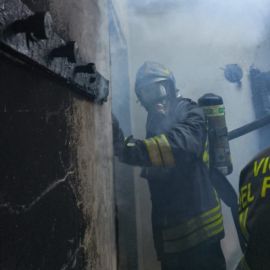 WhatsApp Image 2026-04-03 at 18.52.08