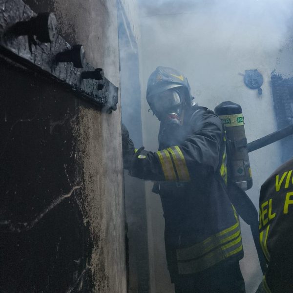 WhatsApp Image 2026-04-03 at 18.52.08