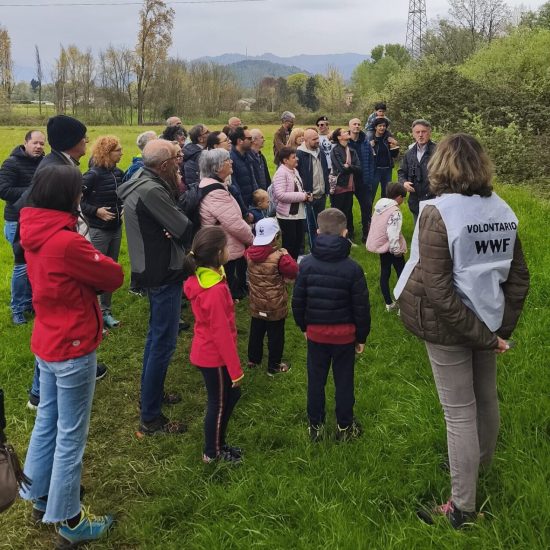 WhatsApp Image 2026-04-12 at 14.19.37