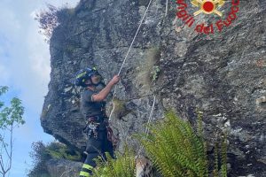vigili del fuoco
