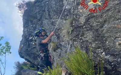 vigili del fuoco
