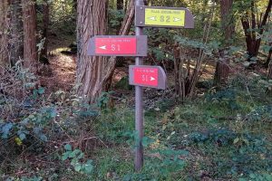 Zoc_cartelli_2025.10_1 Zoc_cartelli_2025.10_1