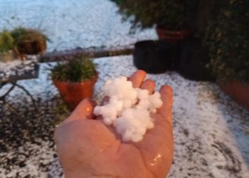 a90640b0-84ec-42ee-bcaa-e24b27c49ea7