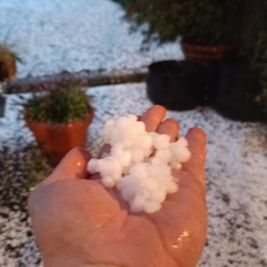 a90640b0-84ec-42ee-bcaa-e24b27c49ea7