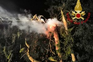 albero a fuoco