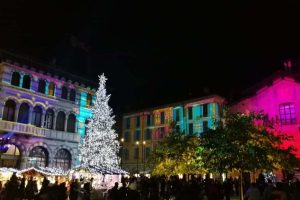 albero balocchi-3
