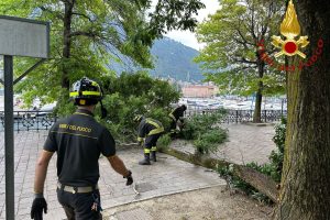 albero giardini lago 2