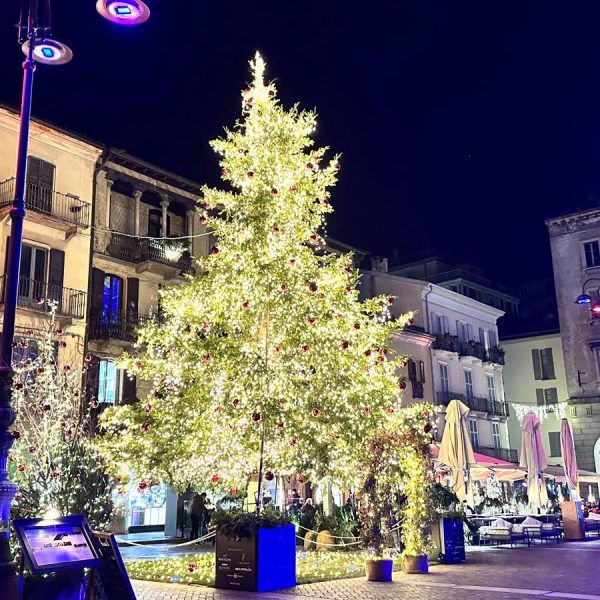 albero-natale-2024-3