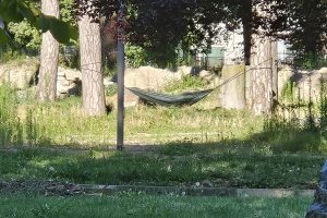 amaca giardini