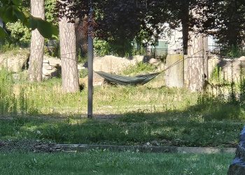 amaca giardini