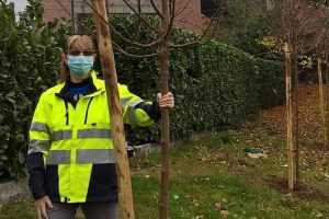 anna-ballerini-conalpa-albero-alberi-51