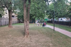 area-cani-fontanella-viale-varese-lettrice (5)