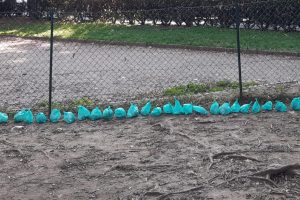 area-cani-viale-varese (10)