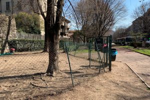 area-cani-viale-varese (4)