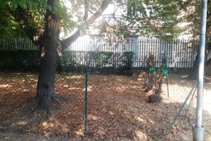 area-cani-viale-varese-sistemata (4)