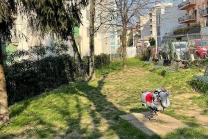 area crispi