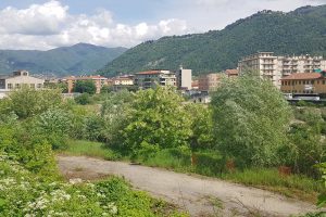 area-ticosa