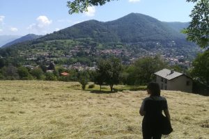 aromi e natura
