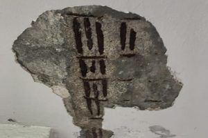 asilo-sant-elia-attilio-terragni (5)