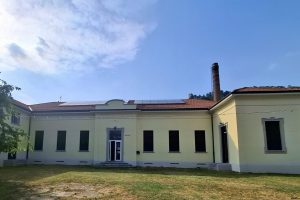 asylum camerlata