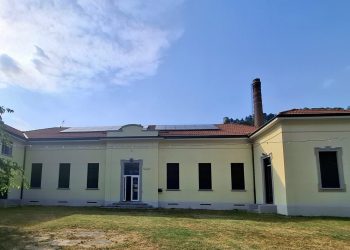 asylum camerlata