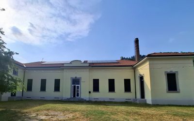 asylum camerlata