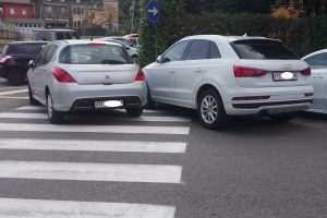 auto ticinesi ponte chiasso def