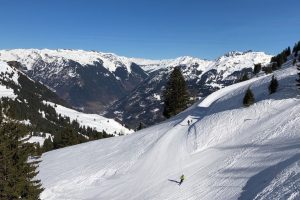 baunwald