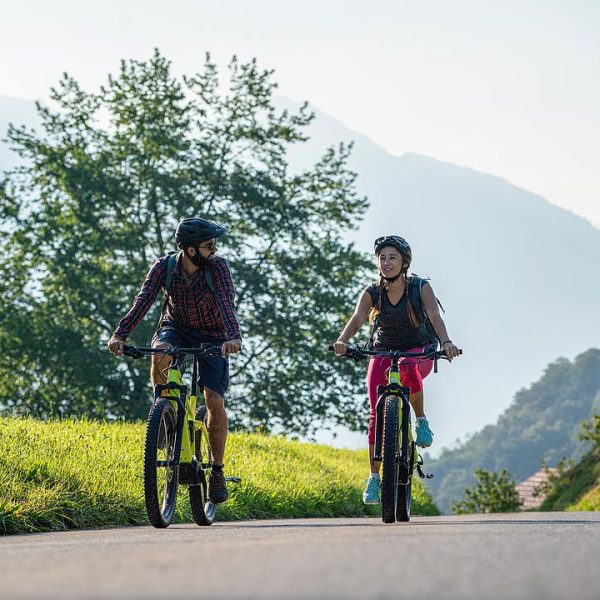 bici-gravel-bosco-svizzera