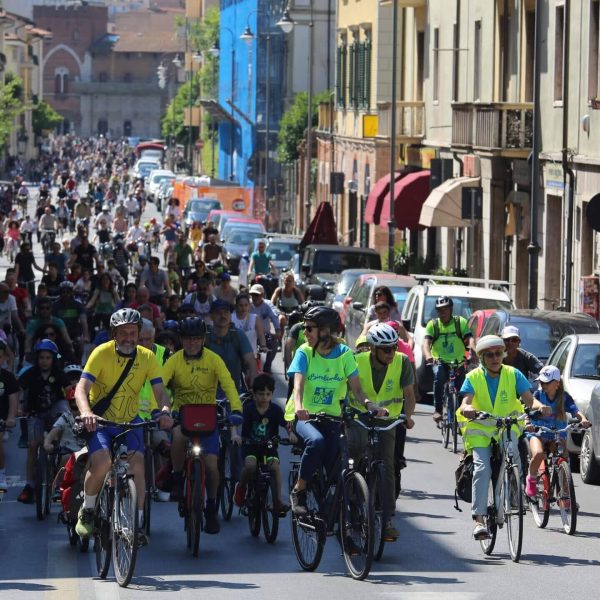 bimbinbici (3)