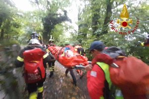 bosco vigili fuoco 2