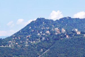 brunate