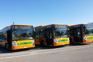 bus