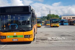 bus-asf (7)