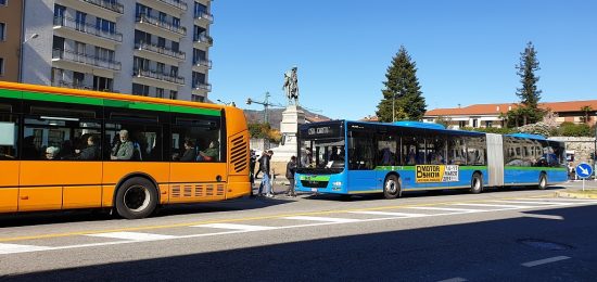 bus piazza vittoria