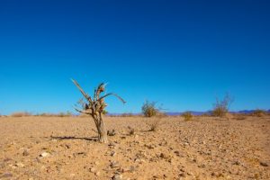 cambiamento-climatico-clima