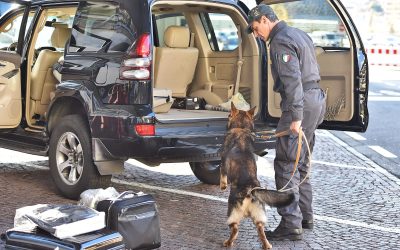cane-antidroga-finanza
