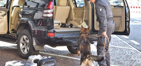 cane-antidroga-finanza