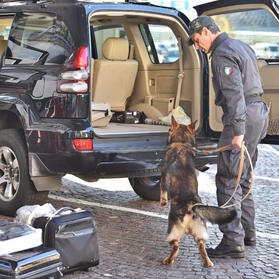 cane-antidroga-finanza
