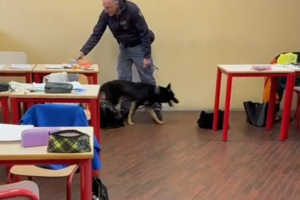 cane-antidroga-polizia-scuole