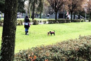 cani-aiuola-giardini-pubblici