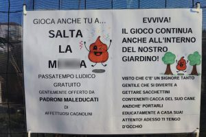 cani-albate (2)