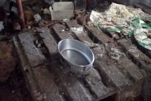 cani-maltrattati-cantù