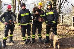 cani-salvati-vigili-fuoco-2