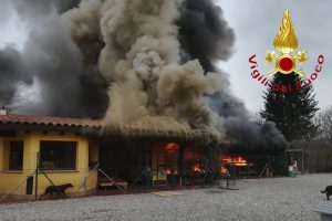 canile incendio