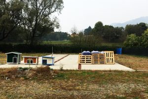 canile-valbasca-cantiere-lavori (13)